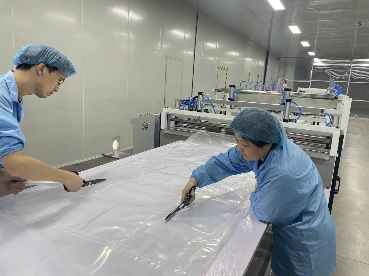 Polyethylene Special-shaped Bags 1